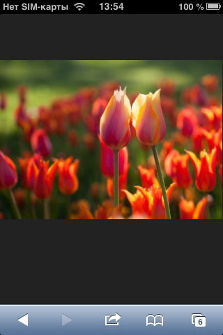 Сауле Каратаева