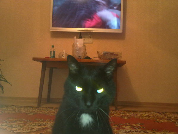 Николай Вишняков