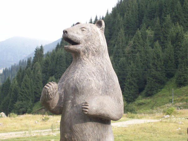 Николай Орехов