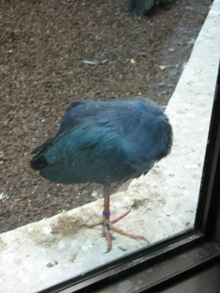 Наталья Бессонова