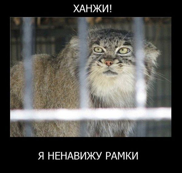 Ольга Бочарова