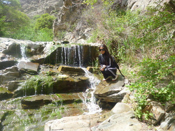 Динара Авезова