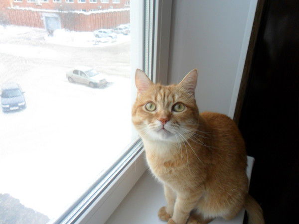 Нина Андреева