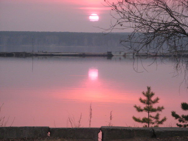 Светлана Морозова