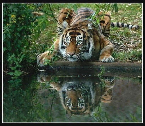 Андрей Кочин