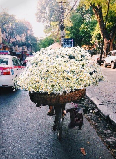 Муслима Назарова