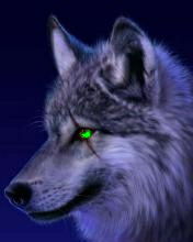 Нурмахан Даутбаев