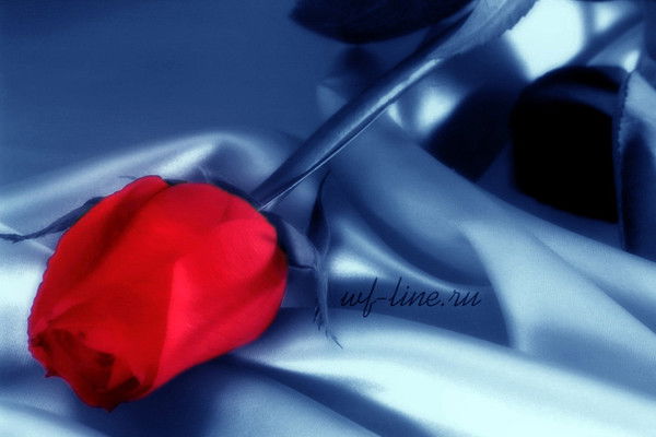 Нафиса Джурабаева