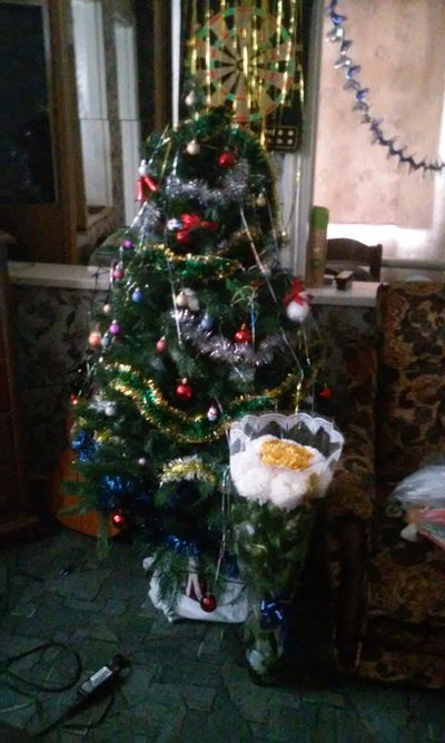 Никита Варавка