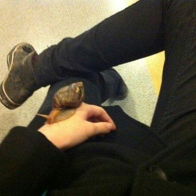 Артём Миллер