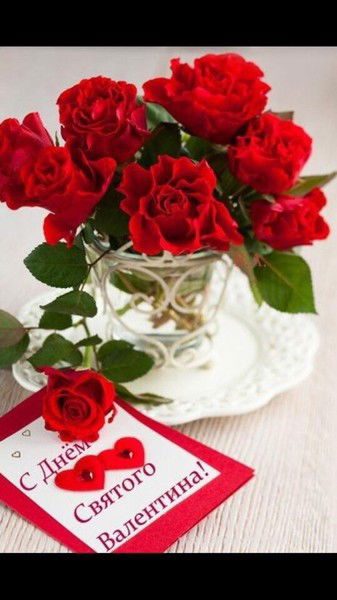 Наталья Ефимова