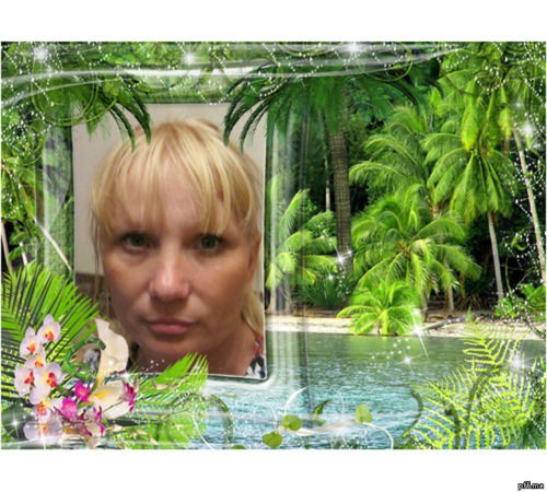 Алена А. (П.)