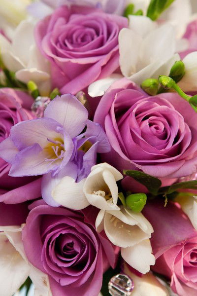 Раиса Чанышева