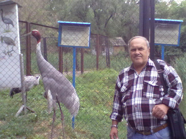 Владимир Петров