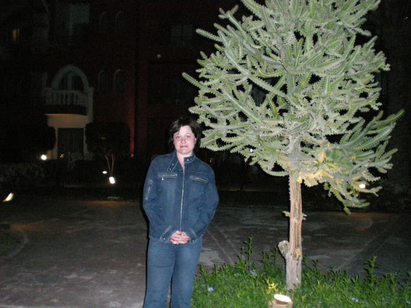 Ирина Спирина