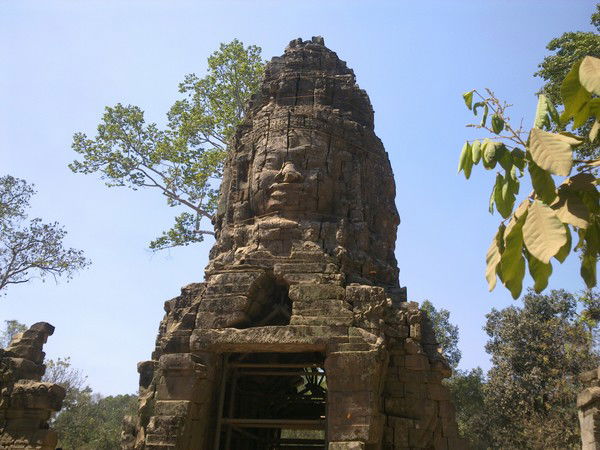 Андрей Белявцев