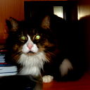 Дмитрий Соловьев