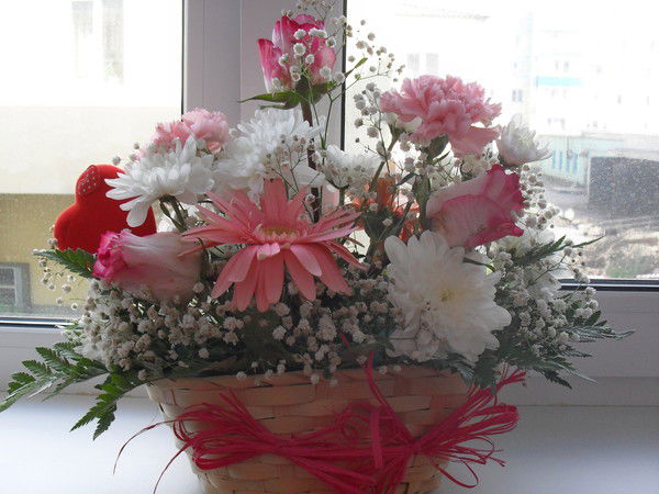 Елена Шубина