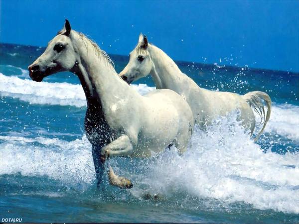 Сеитжан Идекеев