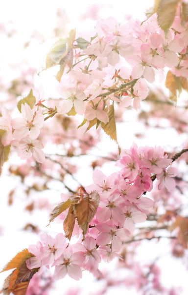 Юлия Мухамадеева