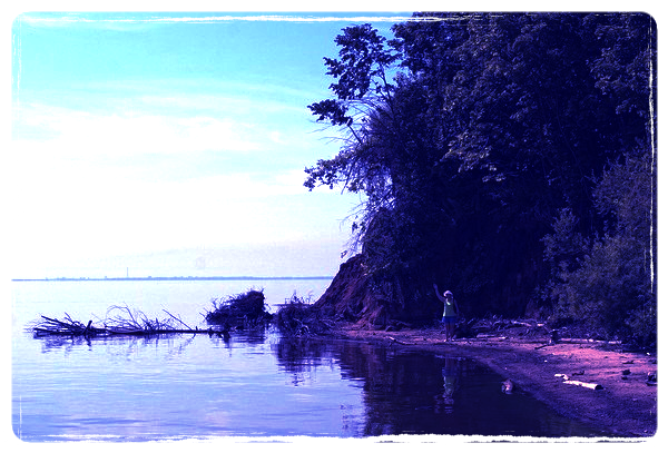 Елена Елена