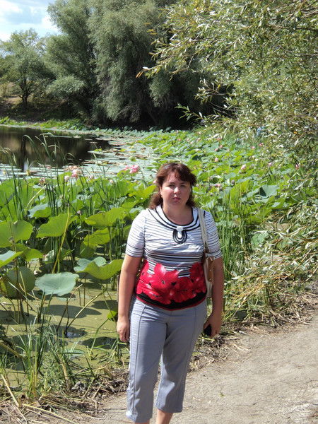 Елена Наумова