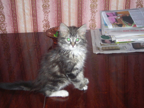 Надежда Крума