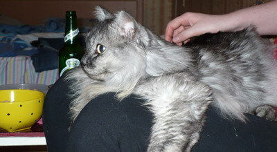 Никола Питерский