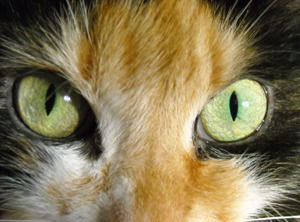 Валентина Кудусова