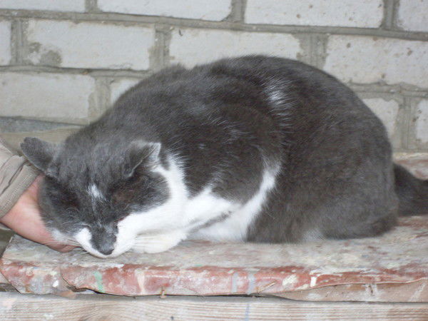 Анна Завгородняя