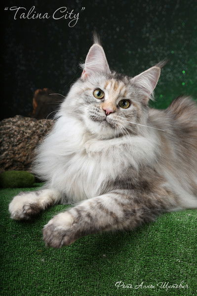 Наталья Андреюк