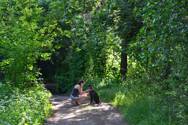 Звягинцева Нина