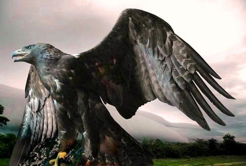 Олег Каширин