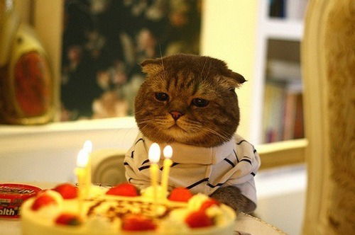 Василя Ялалова