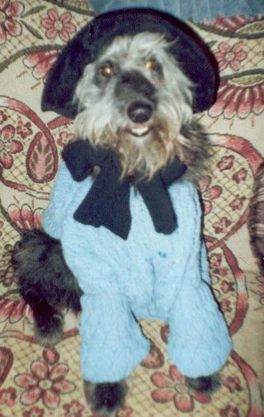 Алекс Аглаюн