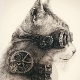 Никита Шахворостов