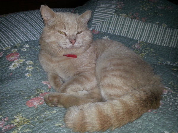 Людмила Маслова