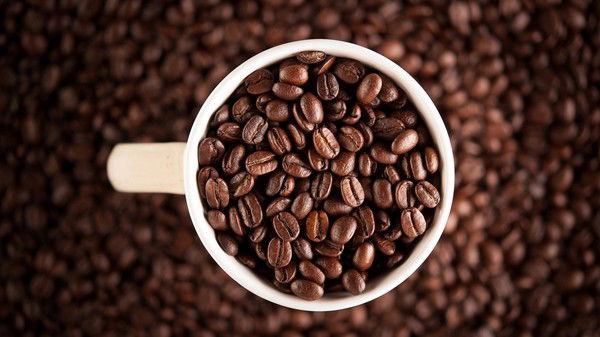 Инна Воротынцева