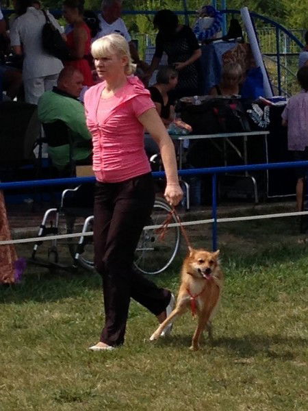 Кинолог Инструктор