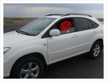 Елизавета Бойко