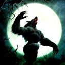 Wolf Wolkodav