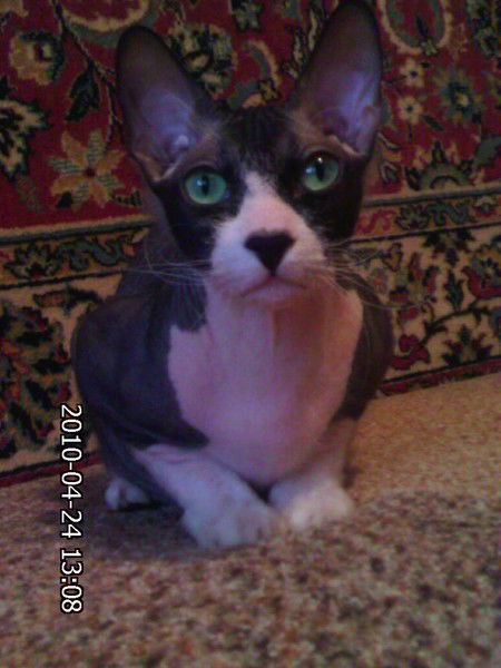 Ольга Поздеева