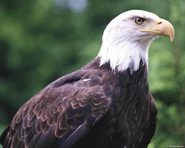 Неизвестно Неизвестно