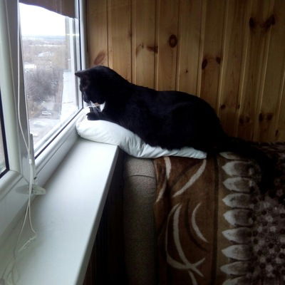 Ирина Фуфлыгина