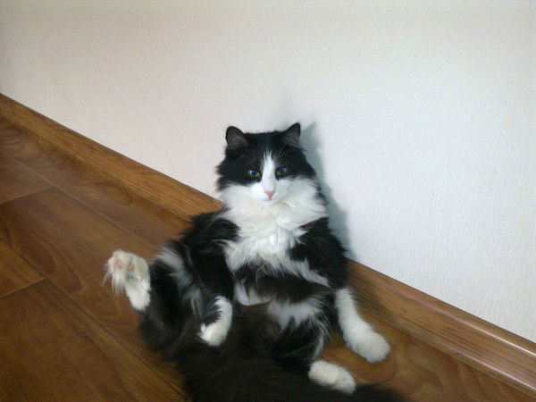 Александр Ким