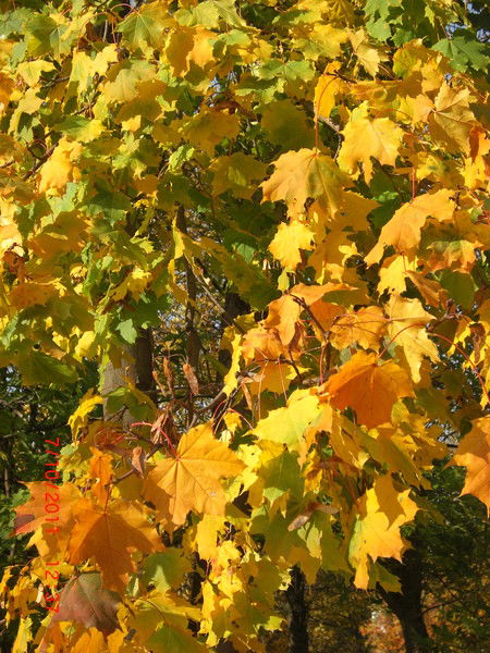 Евгения Ерёмкина