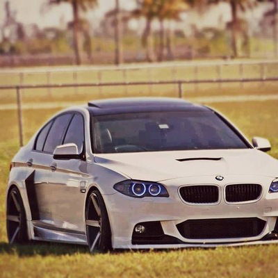 Владимир Кольцов