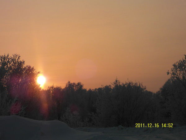 Анатолий Григорьев