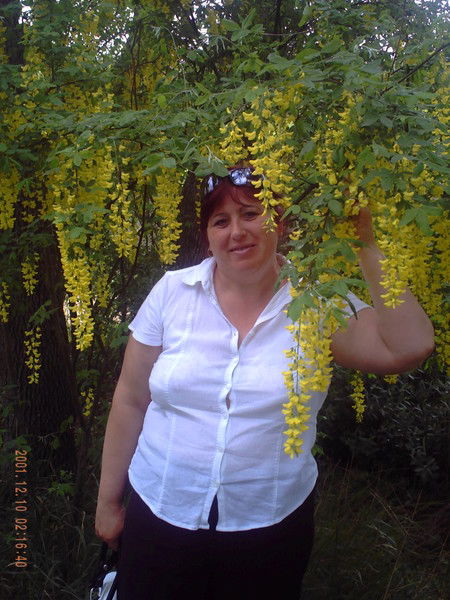 Галина Небылица