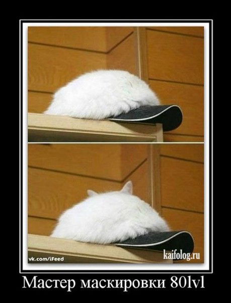 Сергей Торбенков (Бик)